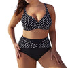 2019 Summer Plus Size Bikini Set For Women